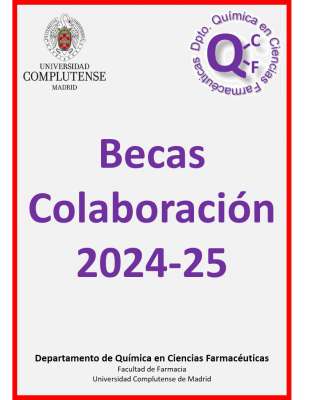 Becas Colaboración 2024-25